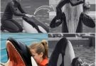 THE FINAL SMILE BEFORE HORROR: Jessica Radcliffe Waves to Crowd—Seconds Later, the K!ller Whale Strikes. The arena cheered…